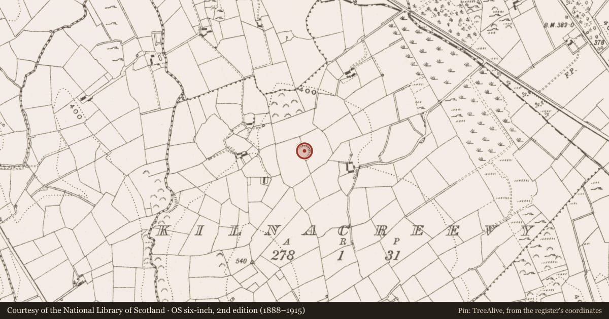 Ordnance Survey six-inch map, 2nd edition (1888–1915) covering the location of Ringfort - rath, Kilnacreevy, County Cavan, with a pin at the register's coordinates
