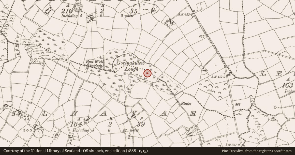Ordnance Survey six-inch map, 2nd edition (1888–1915) covering the location of Crannog, Kilnavar, County Cavan, with a pin at the register's coordinates