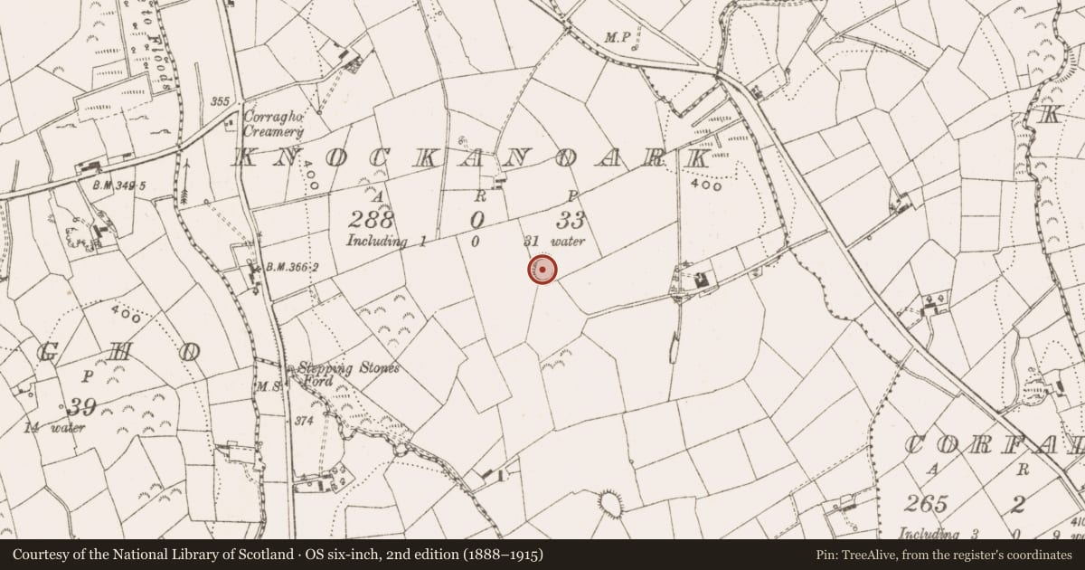 Ordnance Survey six-inch map, 2nd edition (1888–1915) covering the location of Ringfort - rath, Knockanoark, County Cavan, with a pin at the register's coordinates