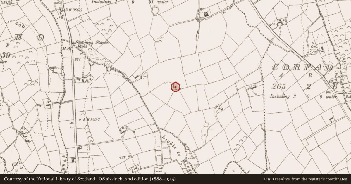 Ordnance Survey six-inch map, 2nd edition (1888–1915) covering the location of Ringfort - rath, Knockanoark, County Cavan, with a pin at the register's coordinates
