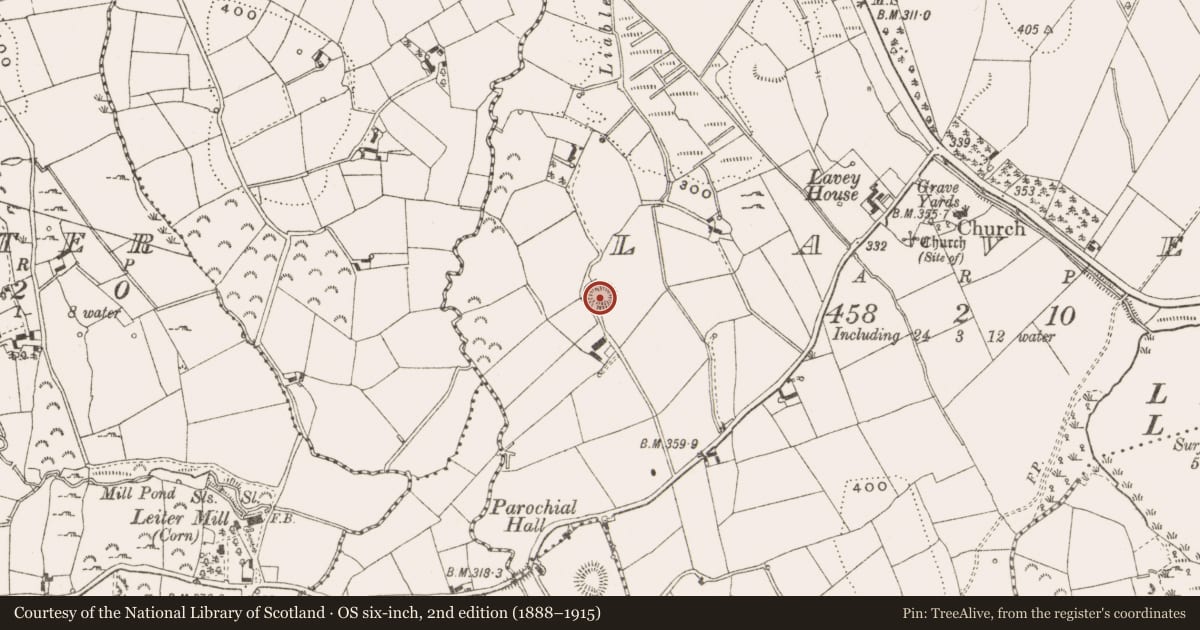 Ordnance Survey six-inch map, 2nd edition (1888–1915) covering the location of Ringfort - rath, Lavey, County Cavan, with a pin at the register's coordinates