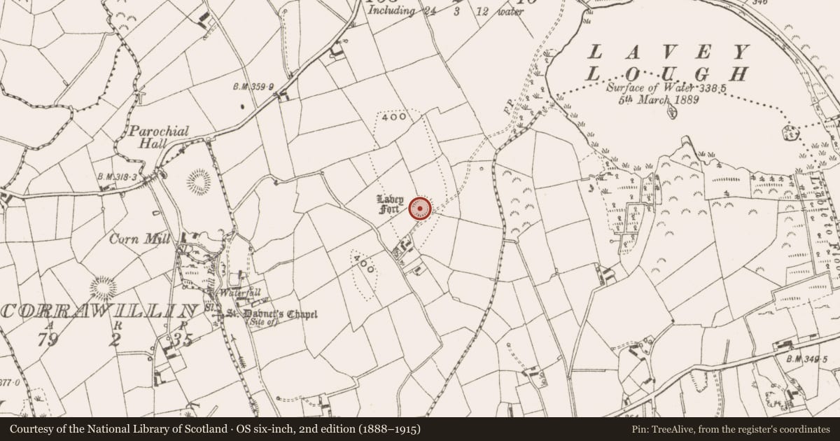 Ordnance Survey six-inch map, 2nd edition (1888–1915) covering the location of Ringfort - rath, Lavey, County Cavan, with a pin at the register's coordinates