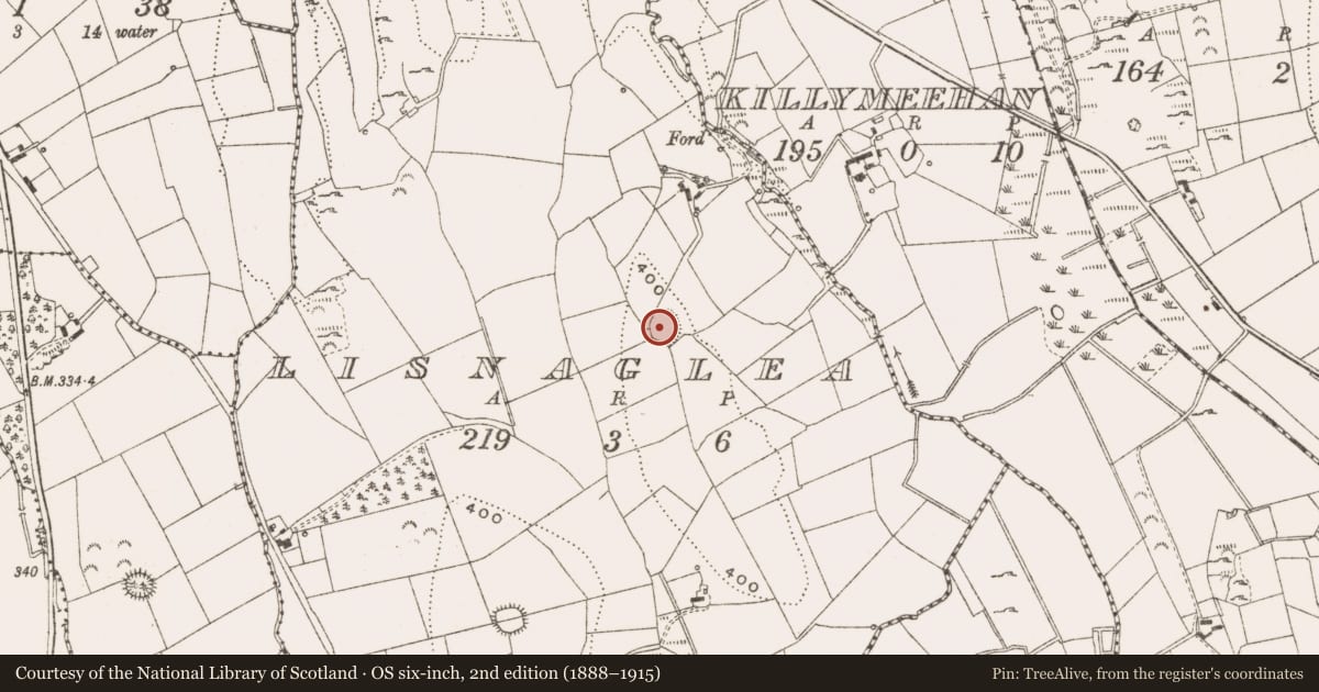 Ordnance Survey six-inch map, 2nd edition (1888–1915) covering the location of Ringfort - rath, Lisnaglea, County Cavan, with a pin at the register's coordinates