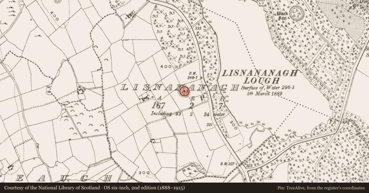 Ordnance Survey six-inch map, 2nd edition (1888–1915) covering the location of Ringfort - rath, Lisnananagh, County Cavan, with a pin at the register's coordinates