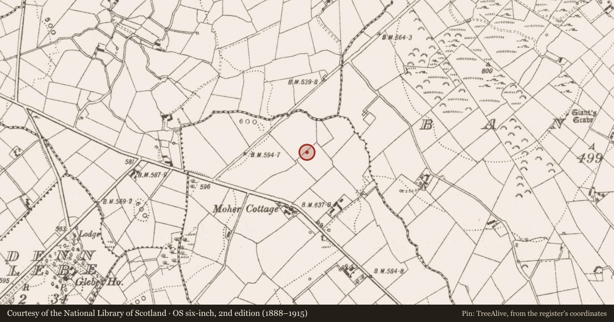 Ordnance Survey six-inch map, 2nd edition (1888–1915) covering the location of Standing stone, Moher, County Cavan, with a pin at the register's coordinates