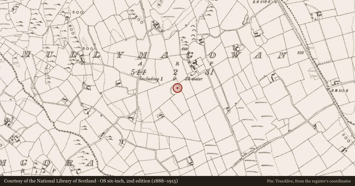 Ordnance Survey six-inch map, 2nd edition (1888–1915) covering the location of Ringfort - rath, Mullymagowan, County Cavan, with a pin at the register's coordinates