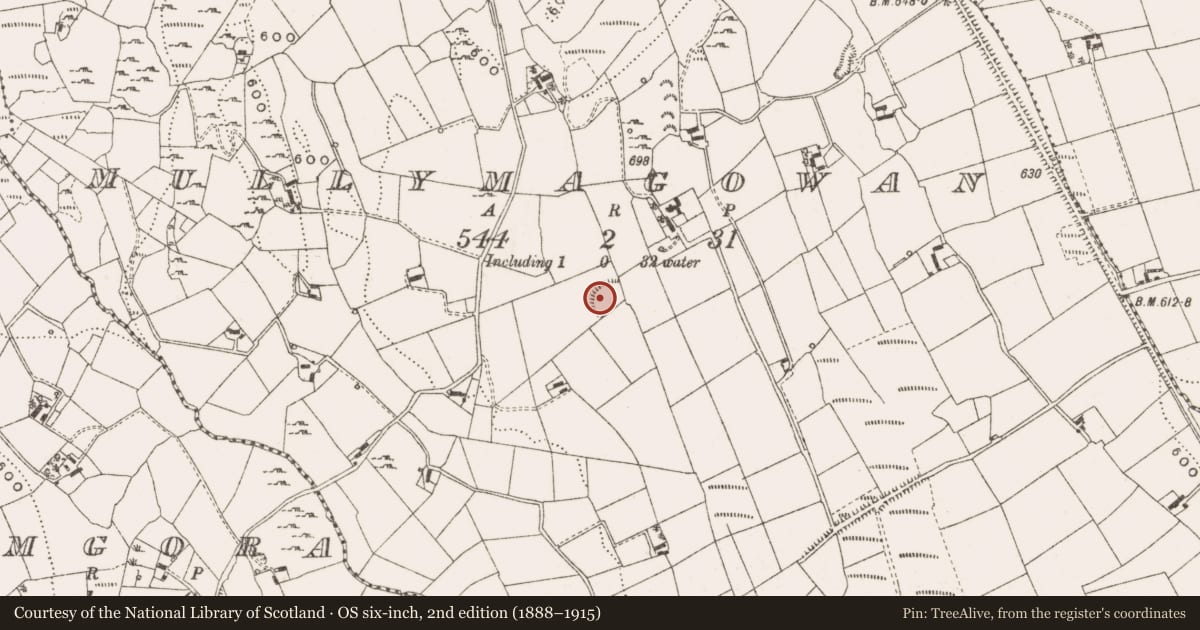 Ordnance Survey six-inch map, 2nd edition (1888–1915) covering the location of Souterrain, Mullymagowan, County Cavan, with a pin at the register's coordinates