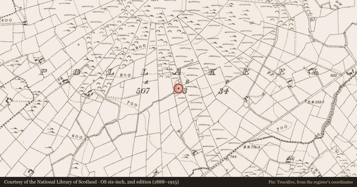 Ordnance Survey six-inch map, 2nd edition (1888–1915) covering the location of Ringfort - rath, Pollakeel, County Cavan, with a pin at the register's coordinates