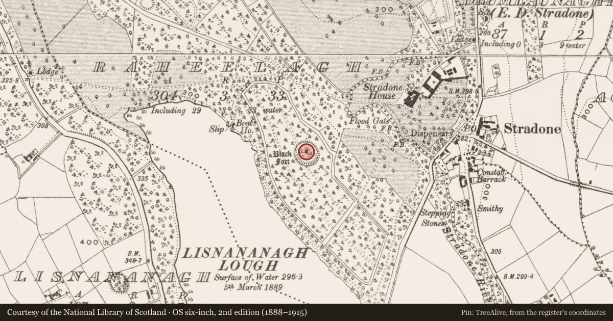 Ordnance Survey six-inch map, 2nd edition (1888–1915) covering the location of Ringfort - rath, Raheelagh, County Cavan, with a pin at the register's coordinates