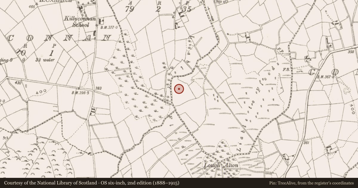 Ordnance Survey six-inch map, 2nd edition (1888–1915) covering the location of Burial ground, Lavey, County Cavan, with a pin at the register's coordinates