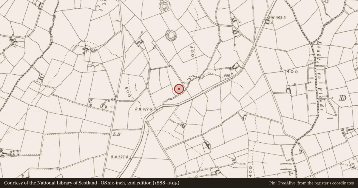 Ordnance Survey six-inch map, 2nd edition (1888–1915) covering the location of Burnt mound, Cargagh, County Cavan, with a pin at the register's coordinates