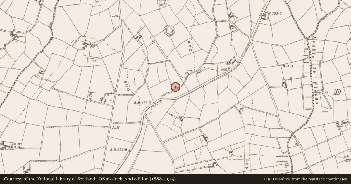 Ordnance Survey six-inch map, 2nd edition (1888–1915) covering the location of Burnt mound, Cargagh, County Cavan, with a pin at the register's coordinates