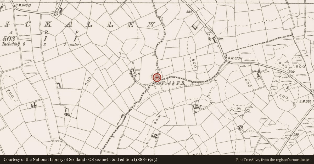 Ordnance Survey six-inch map, 2nd edition (1888–1915) covering the location of Ringfort - rath, Carrickallen, County Cavan, with a pin at the register's coordinates