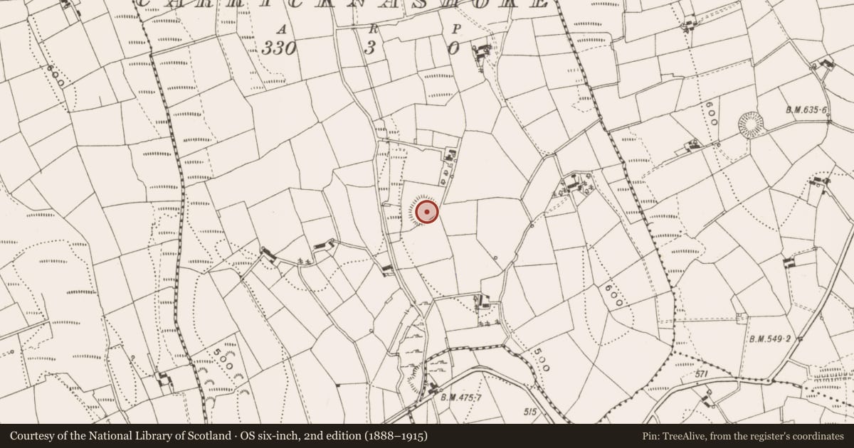 Ordnance Survey six-inch map, 2nd edition (1888–1915) covering the location of Ringfort - rath, Carricknashoke, County Cavan, with a pin at the register's coordinates
