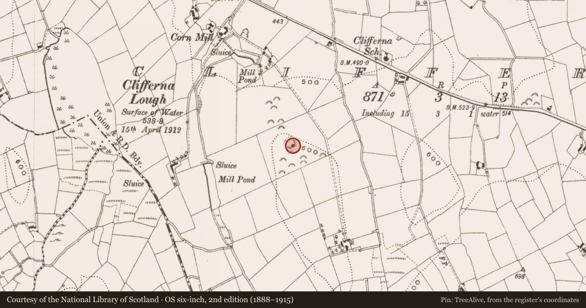 Ordnance Survey six-inch map, 2nd edition (1888–1915) covering the location of Ringfort - rath, Clifferna, County Cavan, with a pin at the register's coordinates