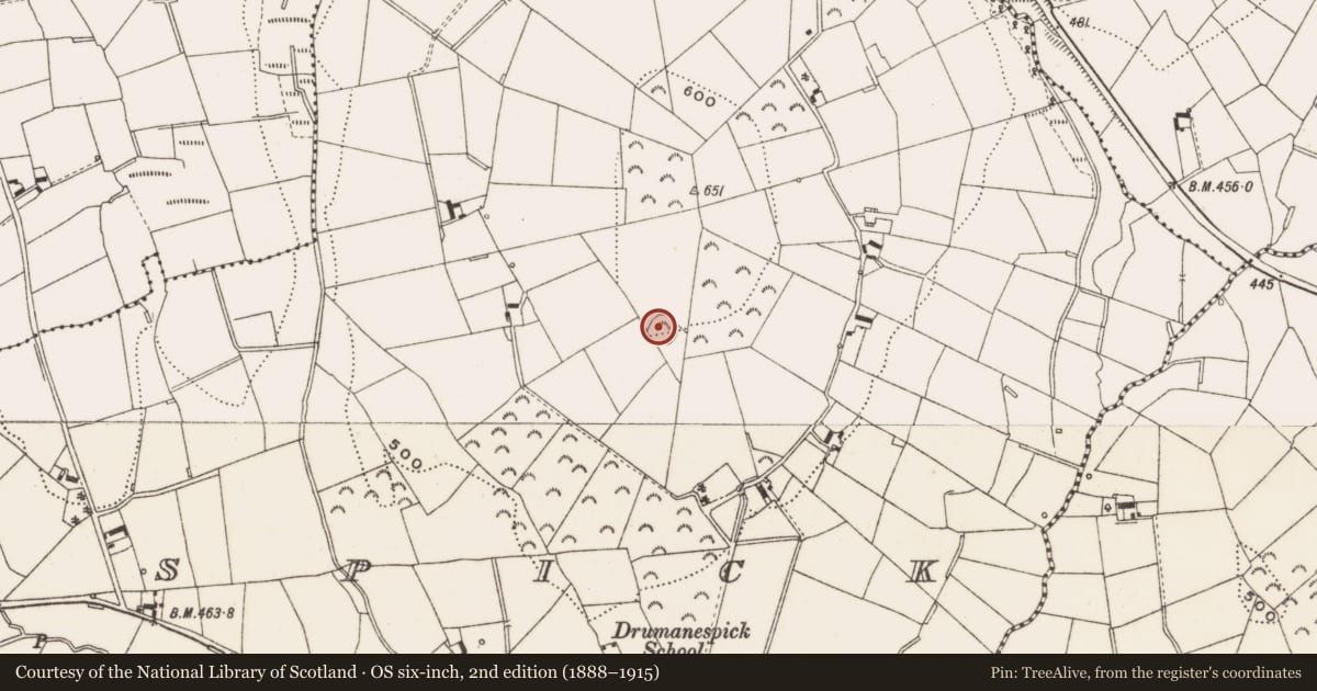Ordnance Survey six-inch map, 2nd edition (1888–1915) covering the location of Ringfort - rath, Drumanespick, County Cavan, with a pin at the register's coordinates