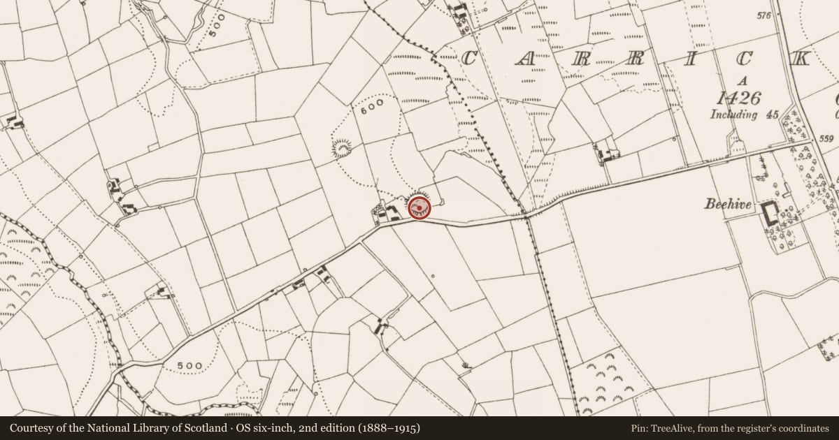 Ordnance Survey six-inch map, 2nd edition (1888–1915) covering the location of Ringfort - rath, Knockataggart, County Cavan, with a pin at the register's coordinates