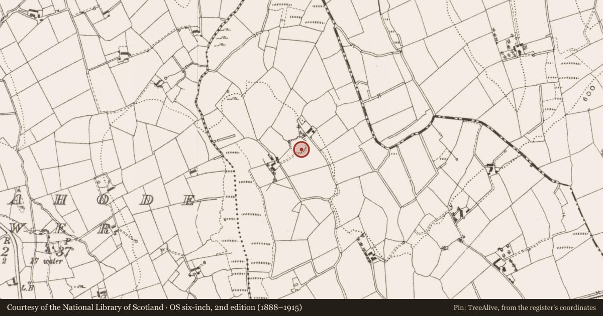 Ordnance Survey six-inch map, 2nd edition (1888–1915) covering the location of Ringfort - rath, Tirlahode Upper, County Cavan, with a pin at the register's coordinates