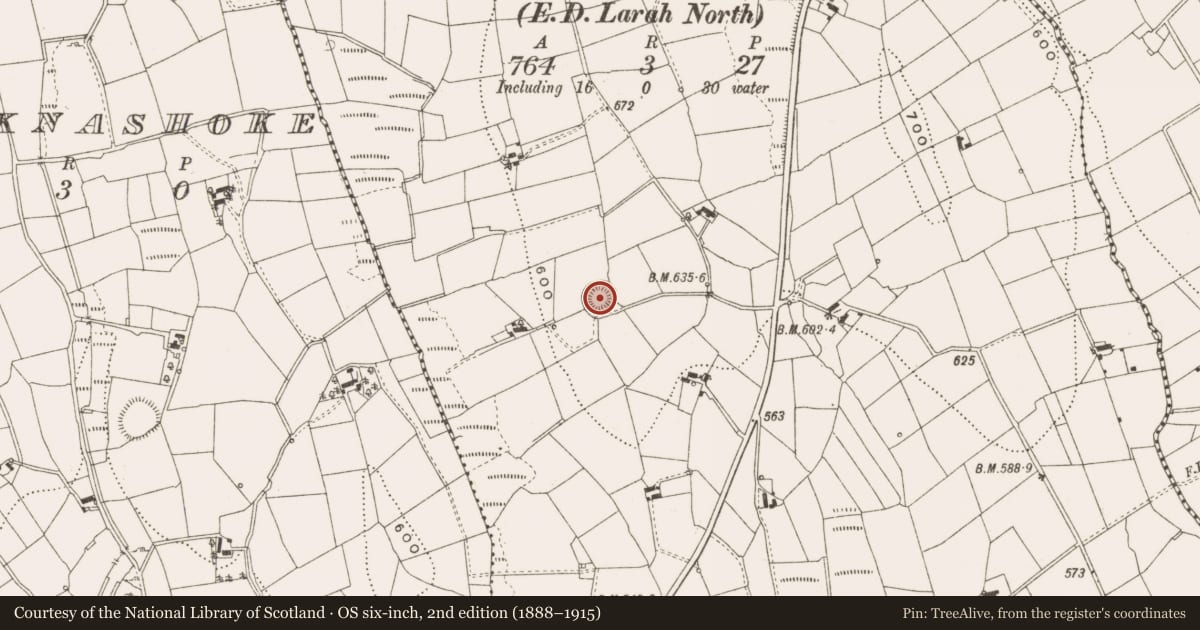 Ordnance Survey six-inch map, 2nd edition (1888–1915) covering the location of Ringfort - rath, Tullyunshin, County Cavan, with a pin at the register's coordinates