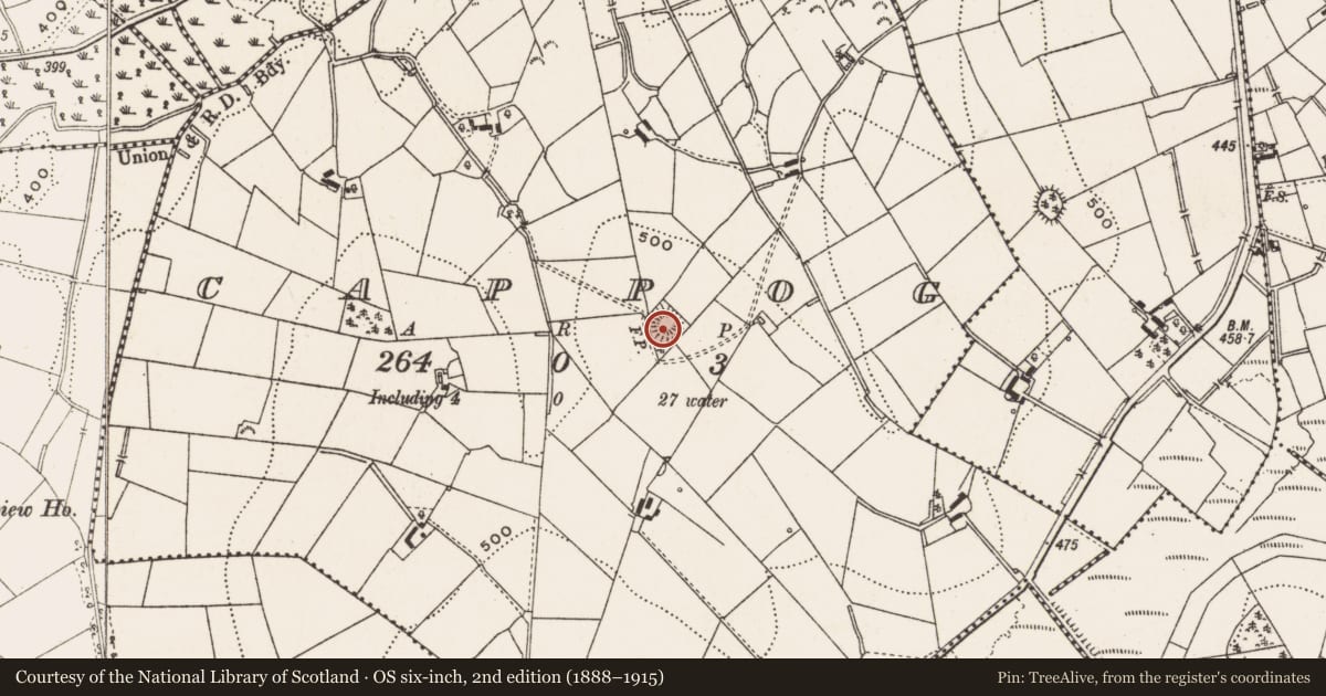 Ordnance Survey six-inch map, 2nd edition (1888–1915) covering the location of Ringfort - rath, Cappog, County Cavan, with a pin at the register's coordinates