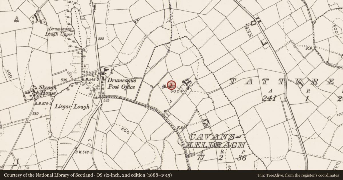 Ordnance Survey six-inch map, 2nd edition (1888–1915) covering the location of Mound, Cavanskeldragh, County Cavan, with a pin at the register's coordinates