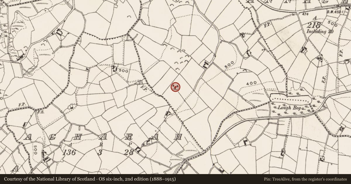 Ordnance Survey six-inch map, 2nd edition (1888–1915) covering the location of Ringfort - rath, Corlattylannan, County Cavan, with a pin at the register's coordinates