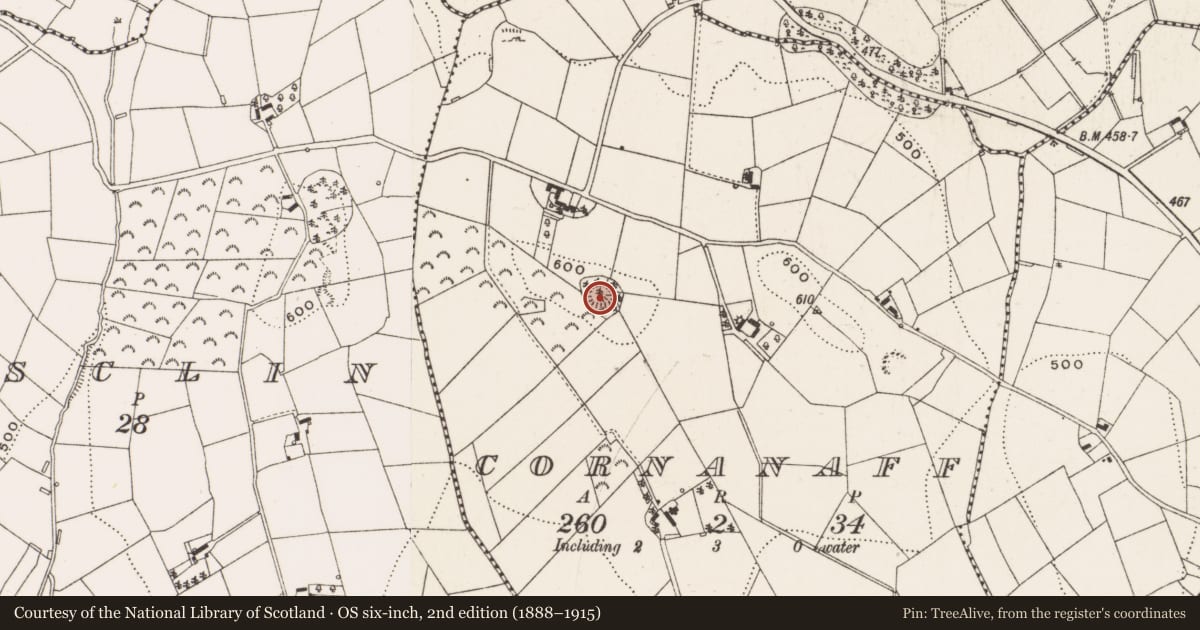 Ordnance Survey six-inch map, 2nd edition (1888–1915) covering the location of Enclosure, Cornanaff, County Cavan, with a pin at the register's coordinates