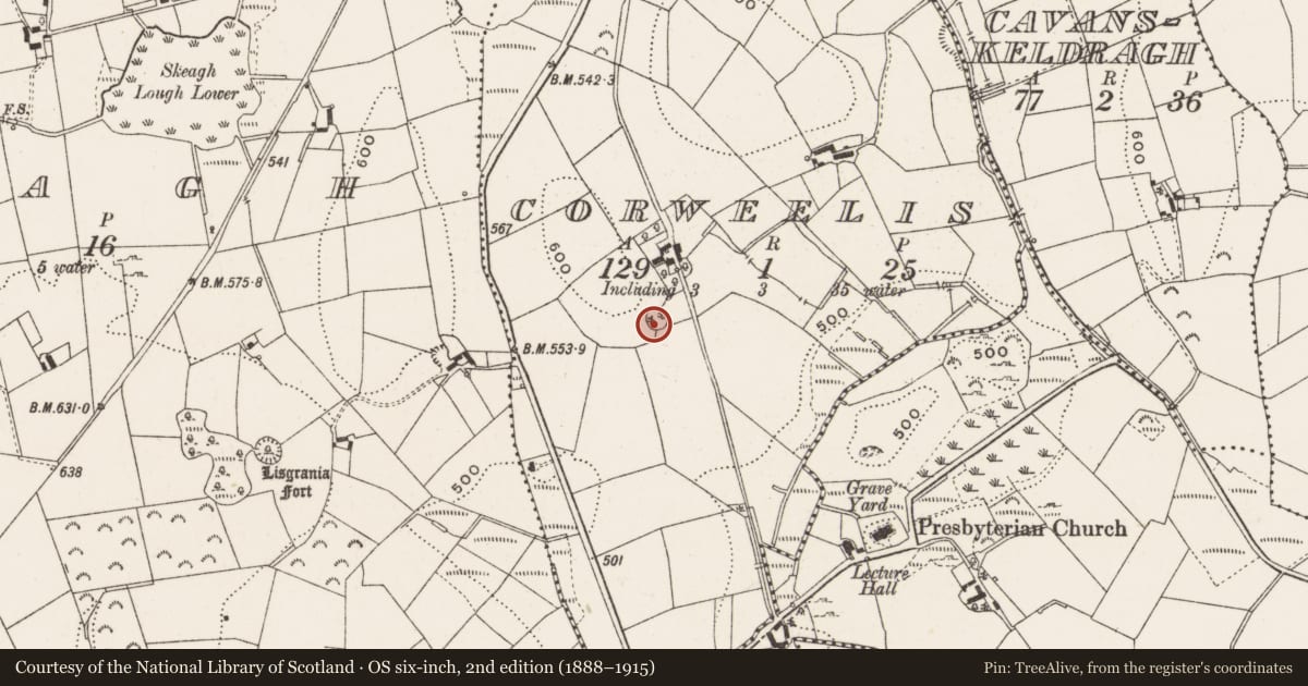 Ordnance Survey six-inch map, 2nd edition (1888–1915) covering the location of Ringfort - rath, Corweelis, County Cavan, with a pin at the register's coordinates