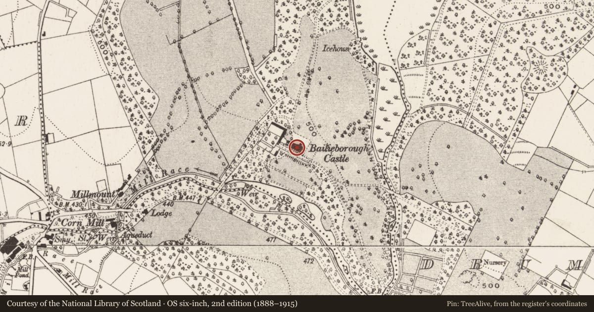 Ordnance Survey six-inch map, 2nd edition (1888–1915) covering the location of Castle - unclassified, Crocknahattin, County Cavan, with a pin at the register's coordinates