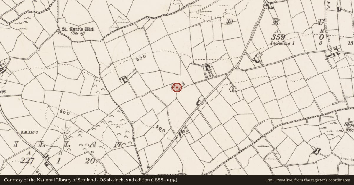 Ordnance Survey six-inch map, 2nd edition (1888–1915) covering the location of Barrow - unclassified, Drumad, County Cavan, with a pin at the register's coordinates
