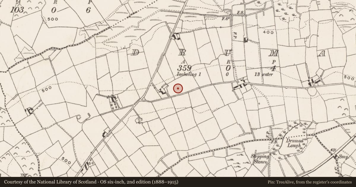 Ordnance Survey six-inch map, 2nd edition (1888–1915) covering the location of Ringfort - rath, Drumad, County Cavan, with a pin at the register's coordinates