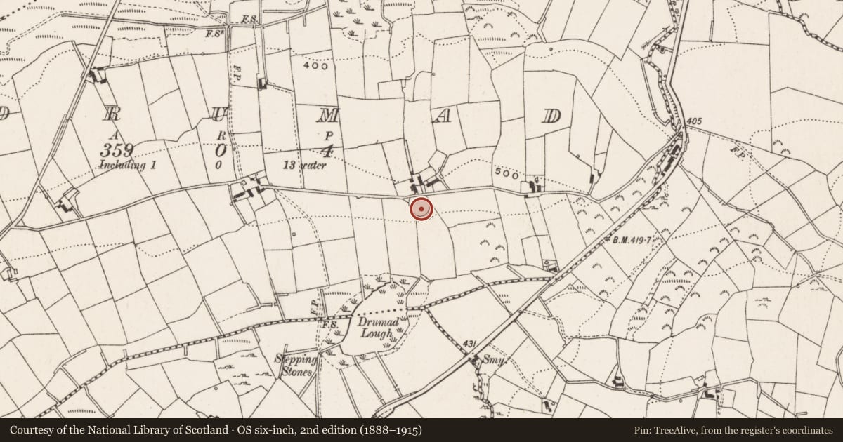 Ordnance Survey six-inch map, 2nd edition (1888–1915) covering the location of Ringfort - rath, Drumad, County Cavan, with a pin at the register's coordinates