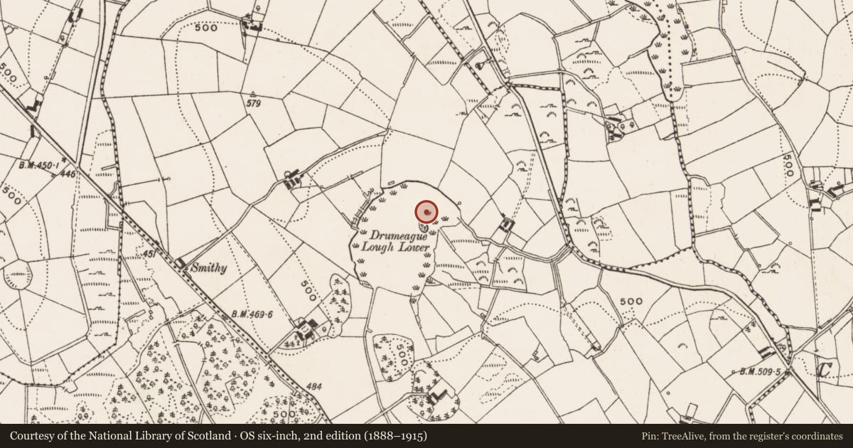 Ordnance Survey six-inch map, 2nd edition (1888–1915) covering the location of Crannog, Drumeague, County Cavan, with a pin at the register's coordinates