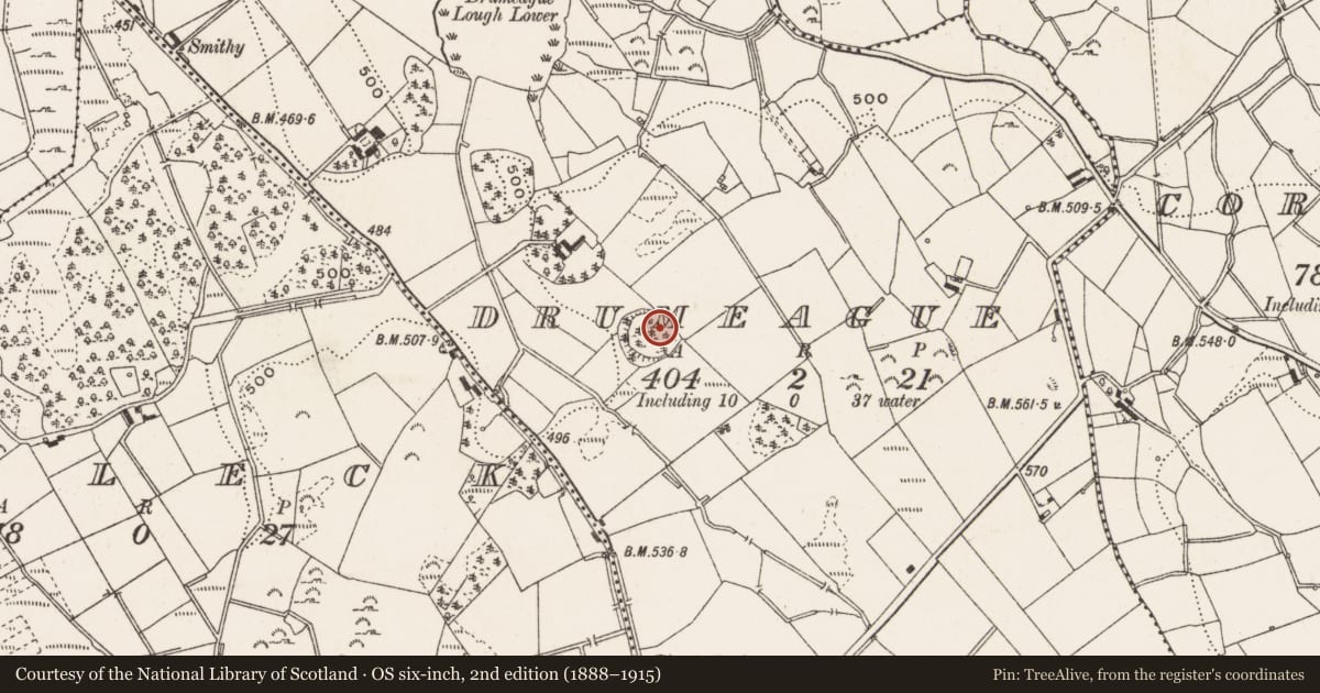 Ordnance Survey six-inch map, 2nd edition (1888–1915) covering the location of Designed landscape - tree-ring, Drumleague, County Cavan, with a pin at the register's coordinates