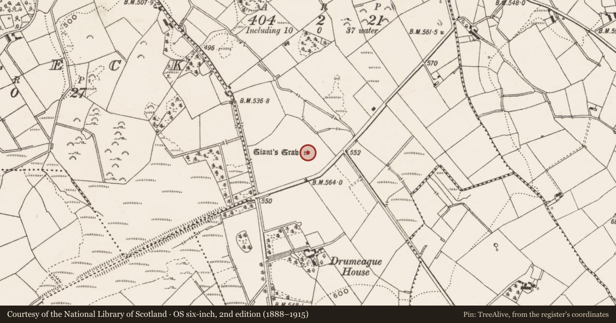 Ordnance Survey six-inch map, 2nd edition (1888–1915) covering the location of Megalithic tomb - wedge tomb, Drumeague, County Cavan, with a pin at the register's coordinates