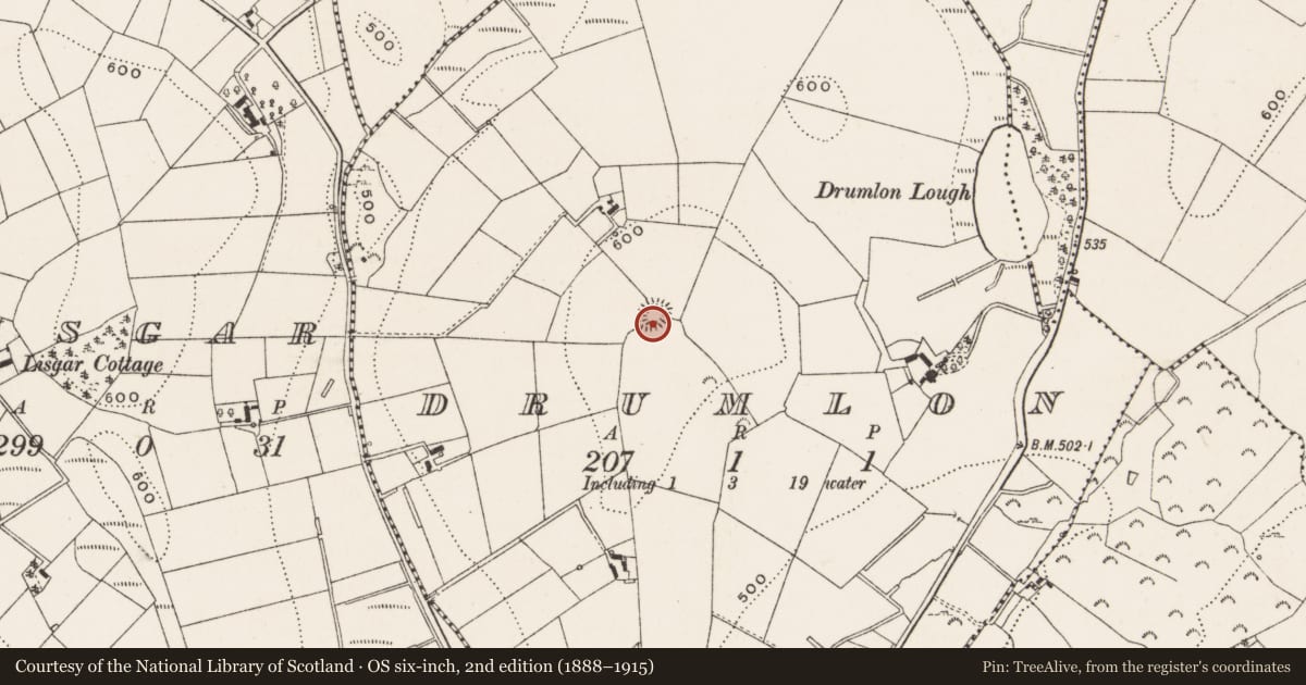 Ordnance Survey six-inch map, 2nd edition (1888–1915) covering the location of Ringfort - rath, Drumlon, County Cavan, with a pin at the register's coordinates