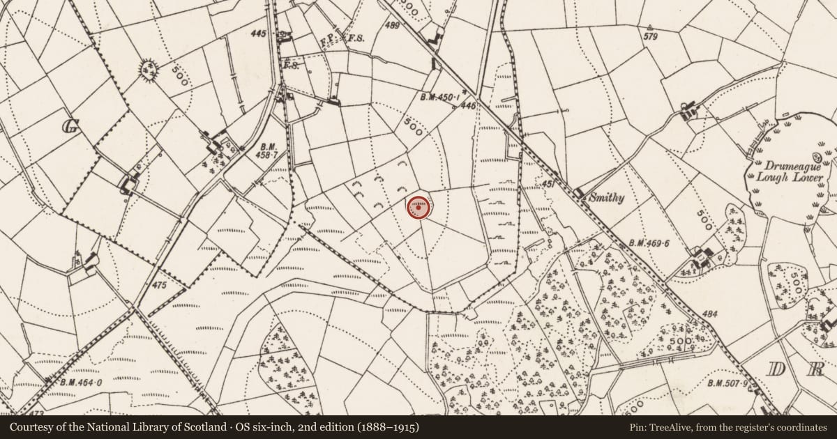 Ordnance Survey six-inch map, 2nd edition (1888–1915) covering the location of Ringfort - rath, Knockbride, County Cavan, with a pin at the register's coordinates