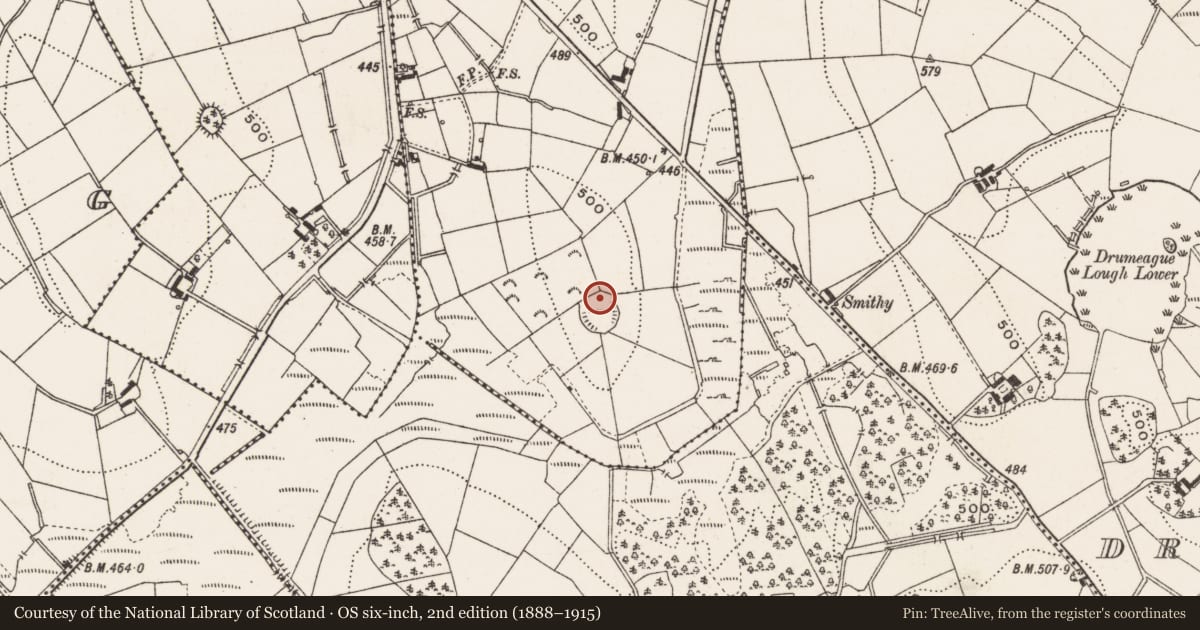 Ordnance Survey six-inch map, 2nd edition (1888–1915) covering the location of Souterrain, Knockbride, County Cavan, with a pin at the register's coordinates