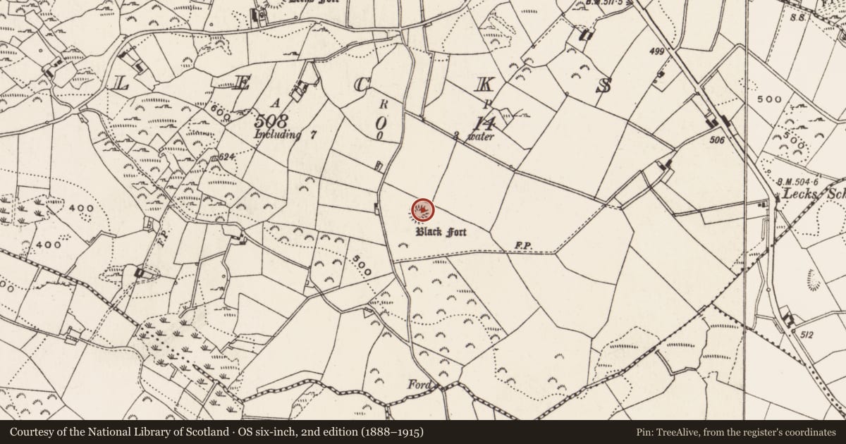 Ordnance Survey six-inch map, 2nd edition (1888–1915) covering the location of Ringfort - rath, Lecks, County Cavan, with a pin at the register's coordinates