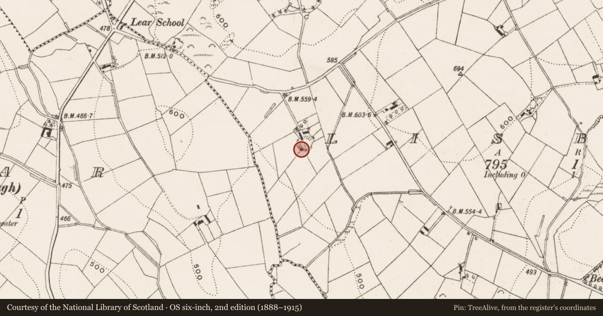 Ordnance Survey six-inch map, 2nd edition (1888–1915) covering the location of Ringfort - rath, Lisball, County Cavan, with a pin at the register's coordinates
