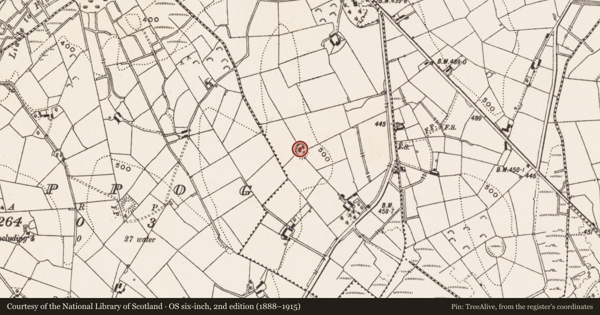 Ordnance Survey six-inch map, 2nd edition (1888–1915) covering the location of Ringfort - rath, Lisdonan, County Cavan, with a pin at the register's coordinates