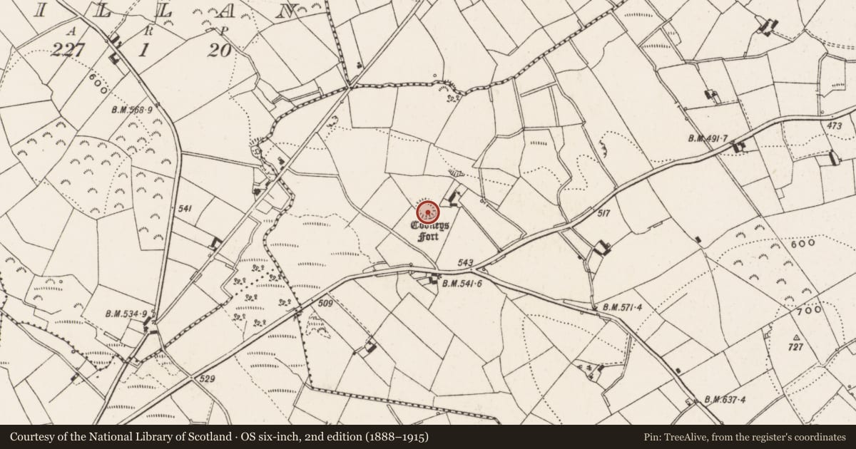 Ordnance Survey six-inch map, 2nd edition (1888–1915) covering the location of Ringfort - rath, Nolagh, County Cavan, with a pin at the register's coordinates