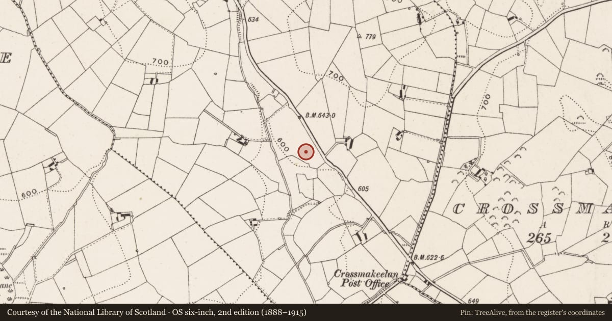 Ordnance Survey six-inch map, 2nd edition (1888–1915) covering the location of Church, Nolagh, County Cavan, with a pin at the register's coordinates