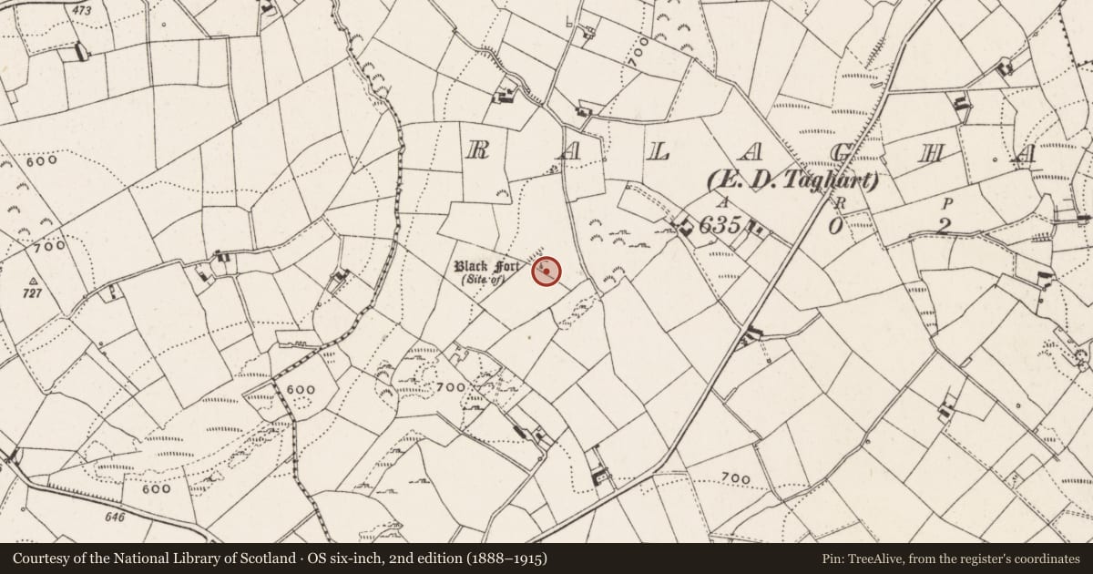 Ordnance Survey six-inch map, 2nd edition (1888–1915) covering the location of Ringfort - rath, Ralaghan, County Cavan, with a pin at the register's coordinates