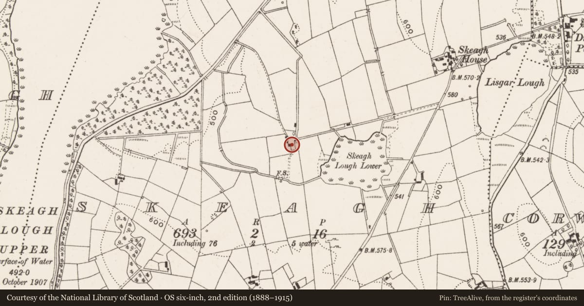 Ordnance Survey six-inch map, 2nd edition (1888–1915) covering the location of Castle - unclassified, Skeagh, County Cavan, with a pin at the register's coordinates