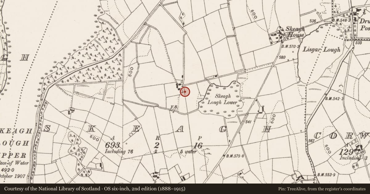 Ordnance Survey six-inch map, 2nd edition (1888–1915) covering the location of Bawn, Skeagh, County Cavan, with a pin at the register's coordinates