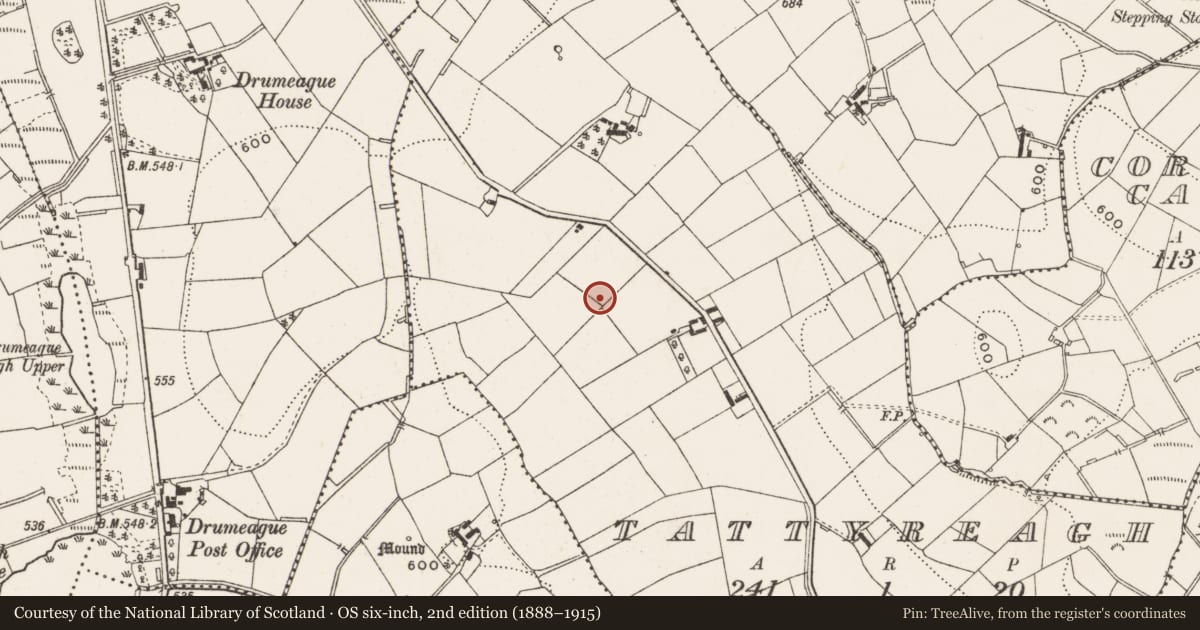 Ordnance Survey six-inch map, 2nd edition (1888–1915) covering the location of Cairn - burial cairn, Tattyreagh, County Cavan, with a pin at the register's coordinates