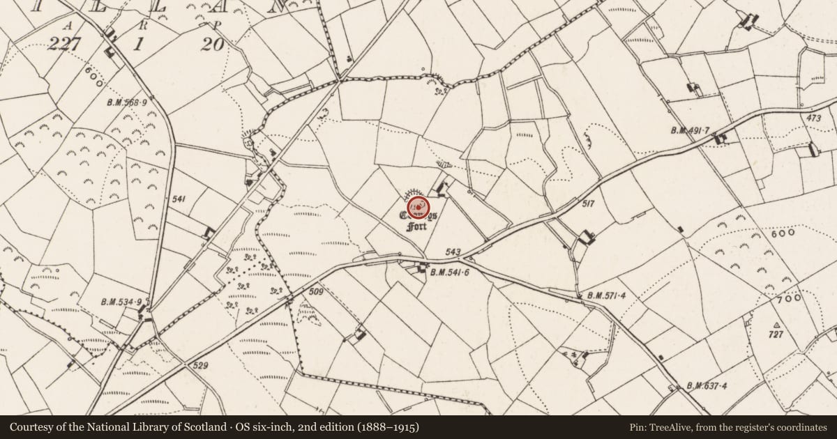 Ordnance Survey six-inch map, 2nd edition (1888–1915) covering the location of Fulacht fia, Gartnaneane, County Cavan, with a pin at the register's coordinates