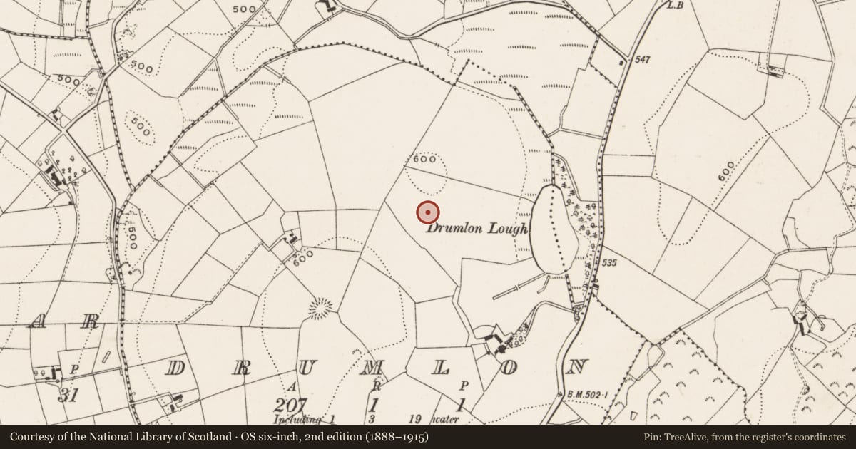 Ordnance Survey six-inch map, 2nd edition (1888–1915) covering the location of Ringfort - rath, Drumlon, County Cavan, with a pin at the register's coordinates