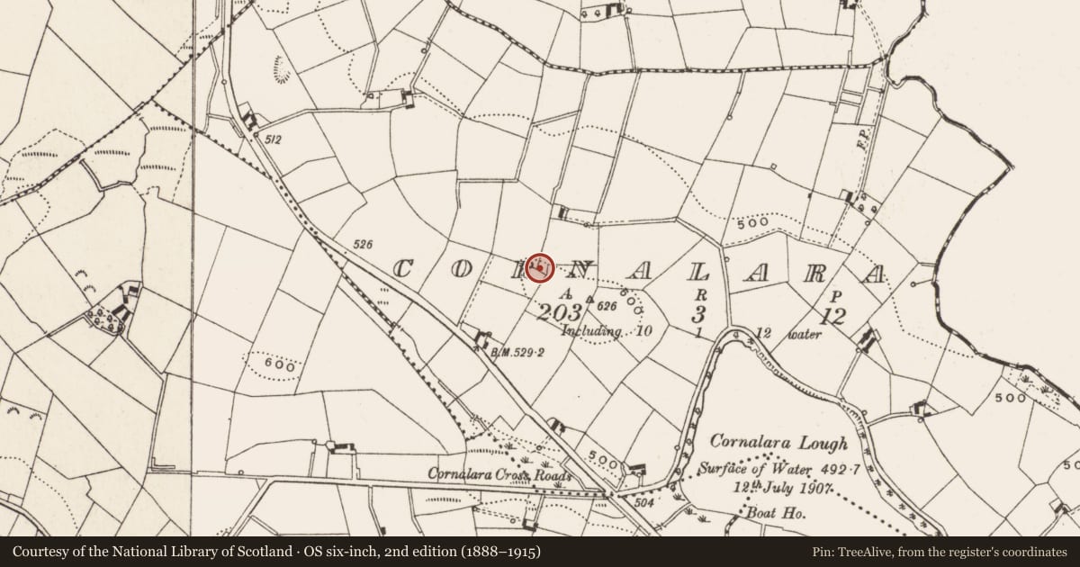 Ordnance Survey six-inch map, 2nd edition (1888–1915) covering the location of Ringfort - cashel, Cornalara, County Cavan, with a pin at the register's coordinates